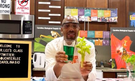 Teacher Turns Kitchen into Chemistry Lab to Teach Students Across the Nation