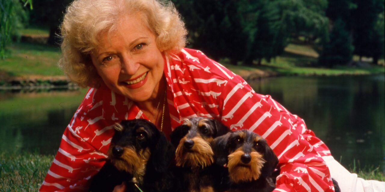 Nearly $13 Million Raised for Animal Shelters in Honor of Betty White