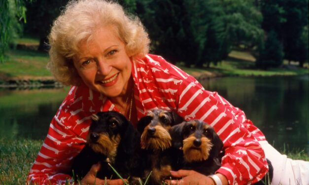 Nearly $13 Million Raised for Animal Shelters in Honor of Betty White